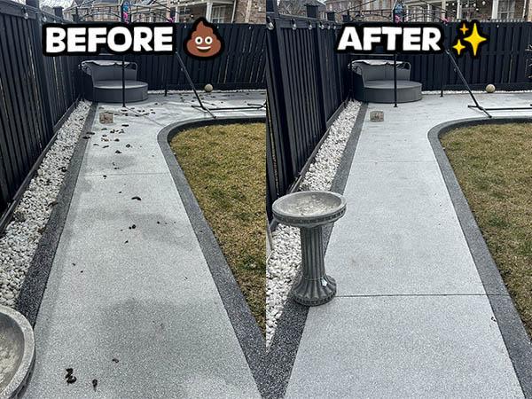 Person signing up for ScoopGroup dog poop scooping service