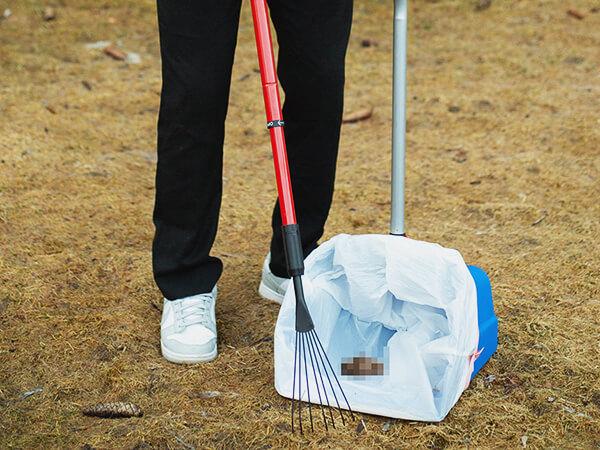 Person signing up for ScoopGroup dog poop scooping service